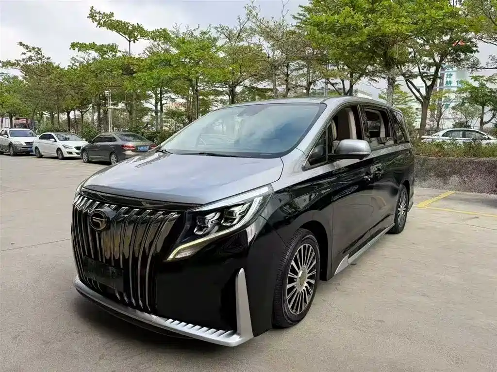GAC Trumpchi Trumpchi M8 2021 Master Series 390T 4-Seat Premium Edition фото 8