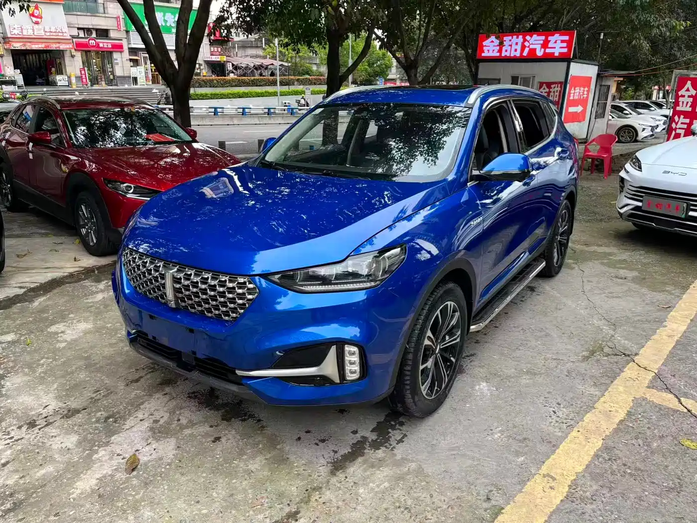 WEI PAI WEI BRAND VV6