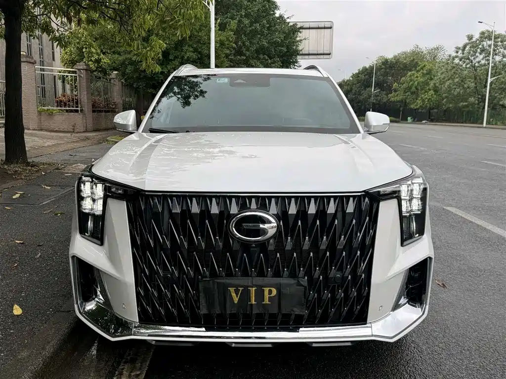 GAC Trumpchi Trumpchi GS8 2022 Dual Engine Series 2.0TM 2WD Premium Edition (6-Seater) фото 2