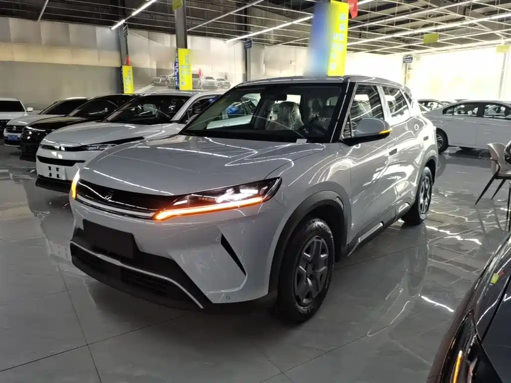 BYD Yuan UP 2025 Model 301KM Navigator