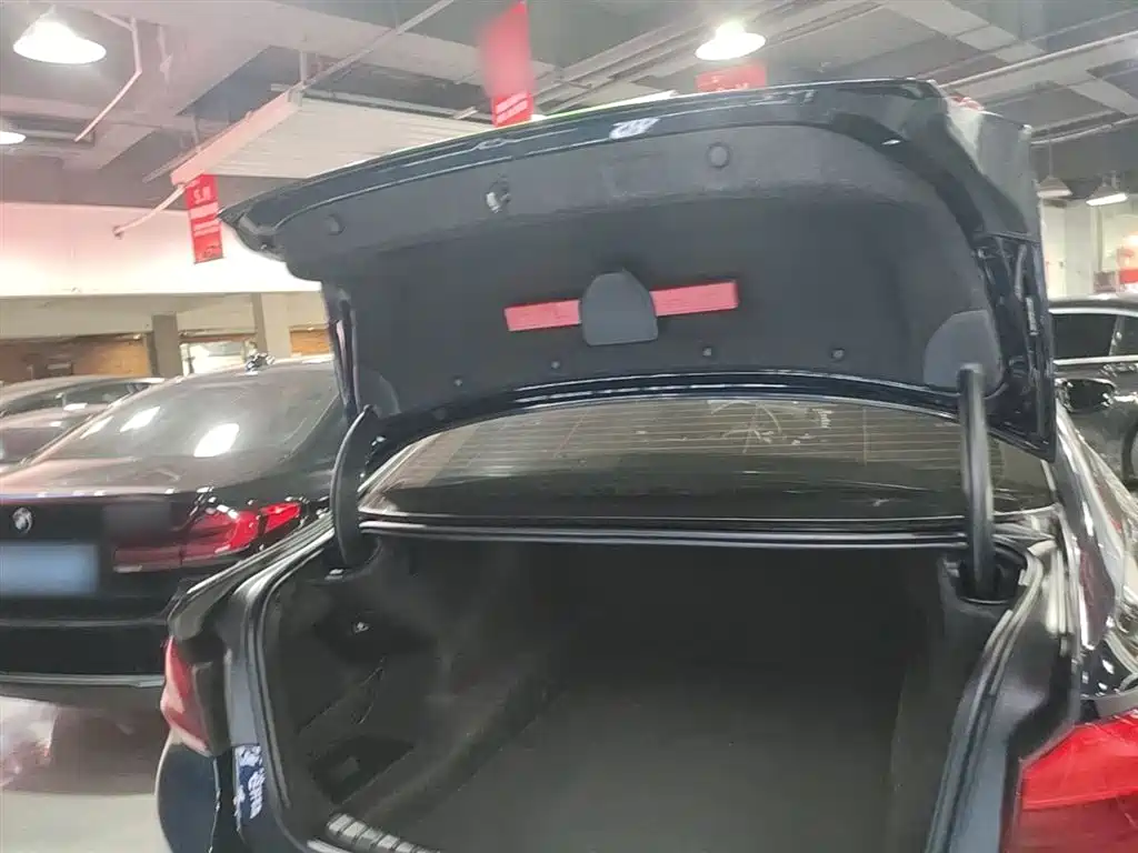 BMW 5 Series 2018 525Li M Sport Package фото 19