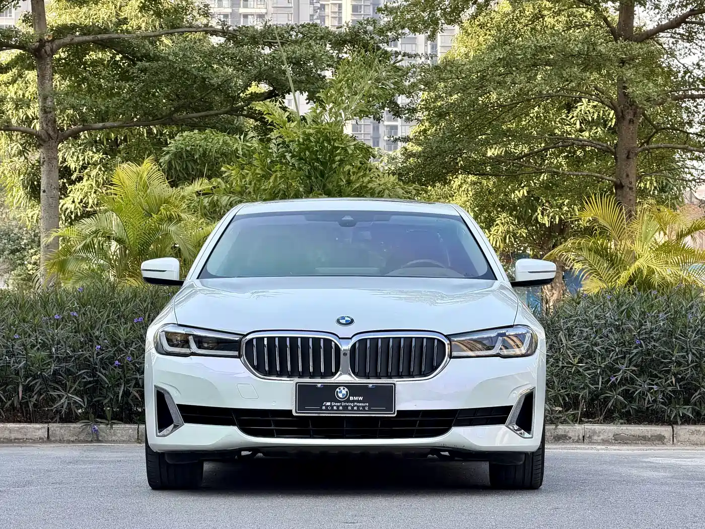 BMW 5 Series 2021 530Li Premium Luxury Package фото 2