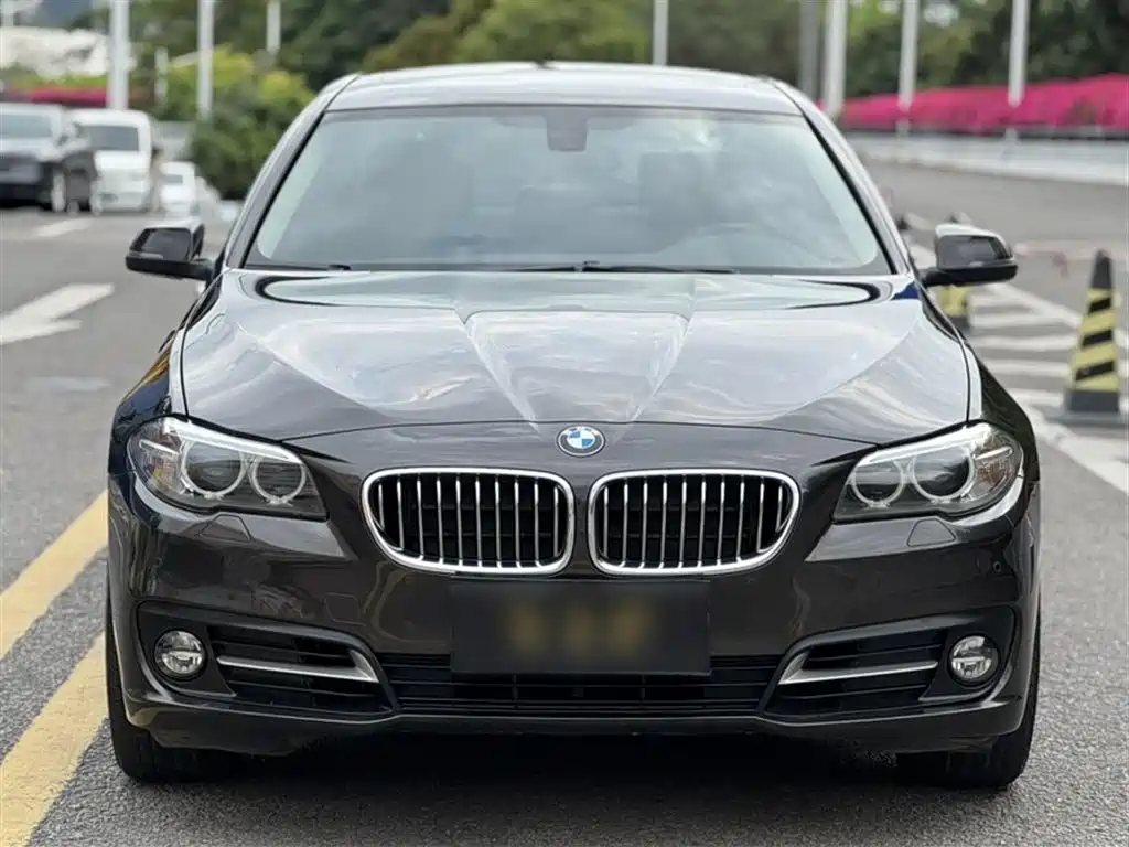 BMW 5 Series 2014 520Li Elegance фото 25