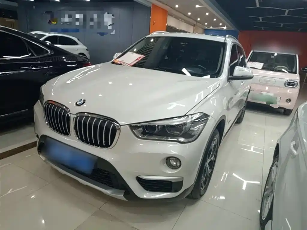 BMW X1 2016 sDrive20Li Luxury Model фото 2
