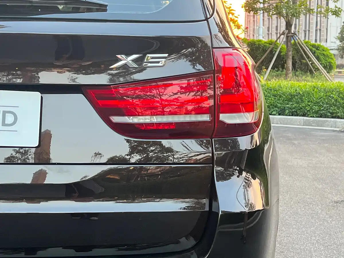 BMW X5 (Import) 2017 xDrive35i Luxury Edition фото 11