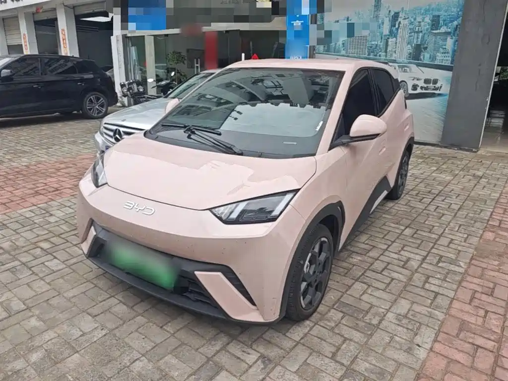 BYD Seagull 2025 305km Freedom