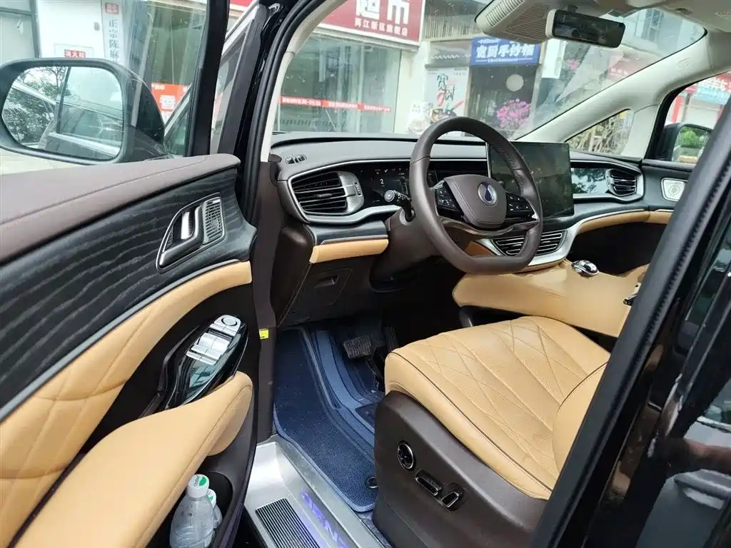 Denza D9 2024 DM-i 980 AWD Prestige фото 14