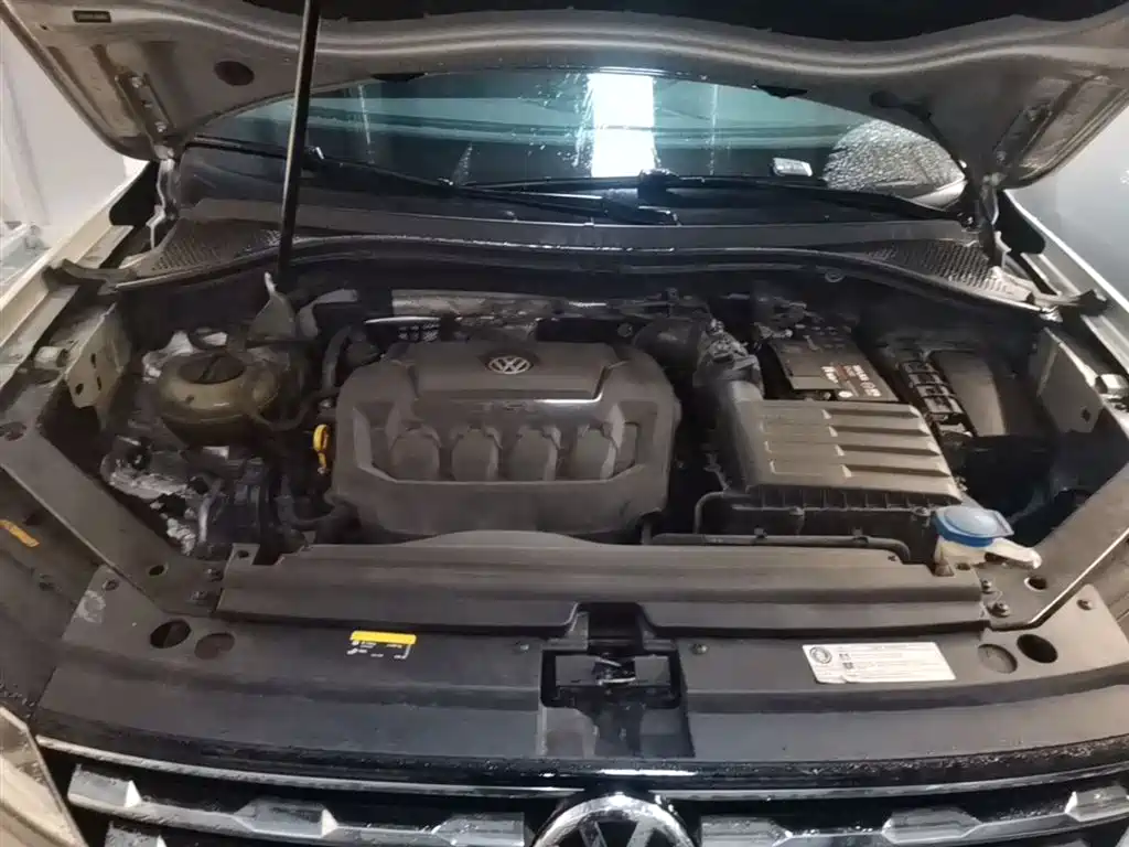 Volkswagen Tiguan L 2020 330TSI Auto 2WD Panorama Comfort China VI фото 11