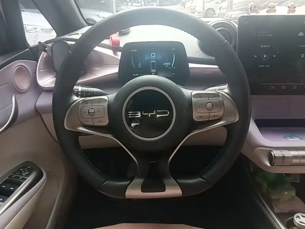 BYD Dolphin 2023 420km Fashion Edition фото 11