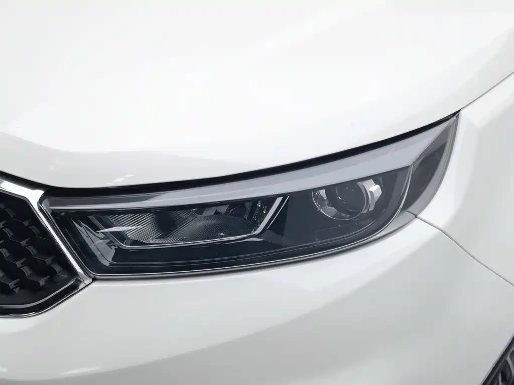 Ford Territory 2019 2019 EcoBoost 145 CVT Platinum Edition China V