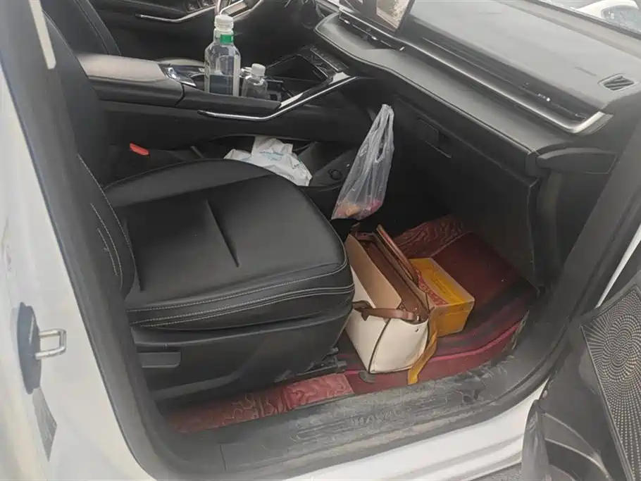 Haval H6 2021 3rd Gen 1.5T Auto 2WD Pro фото 8