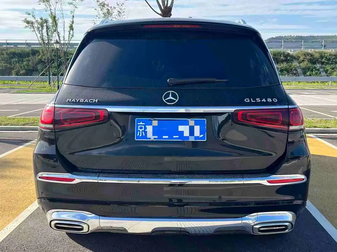 Mercedes-Benz Maybach GLS 2021 GLS 480 4MATIC фото 8
