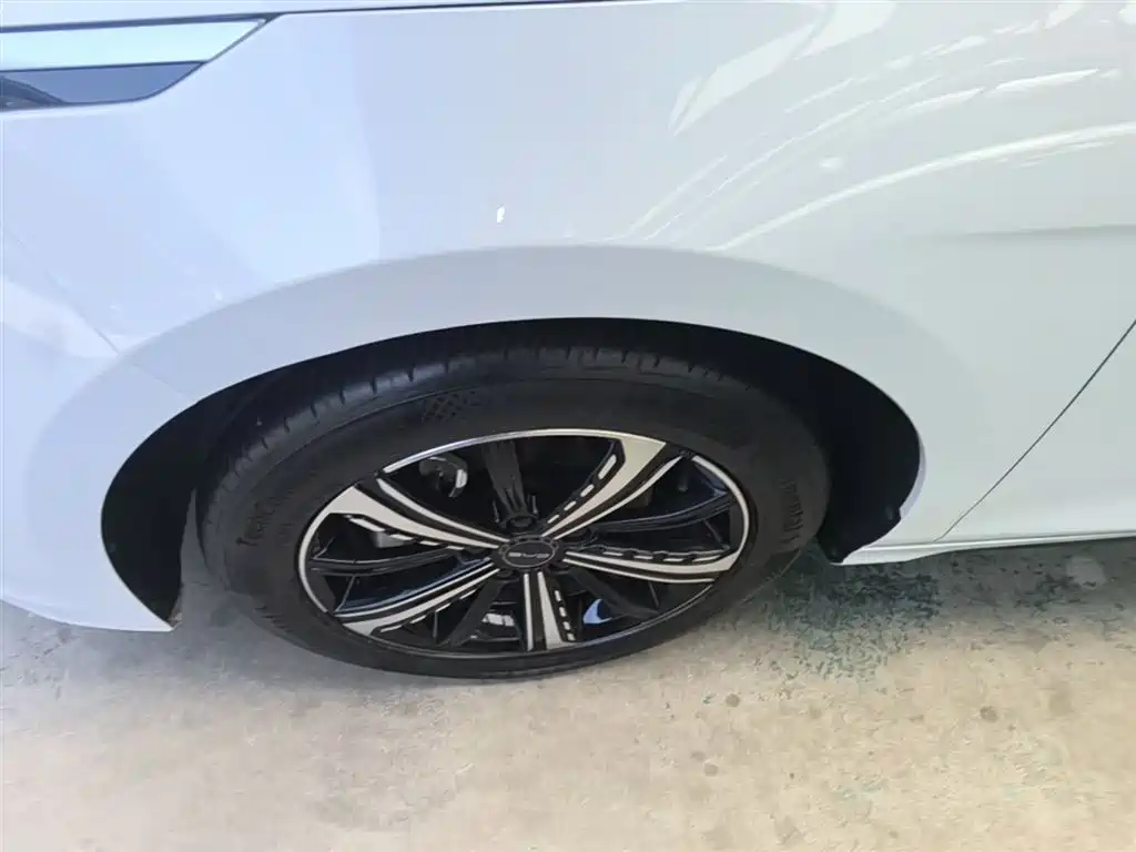 BYD Destroyer 05 2022 DM-i 120KM Premium фото 23