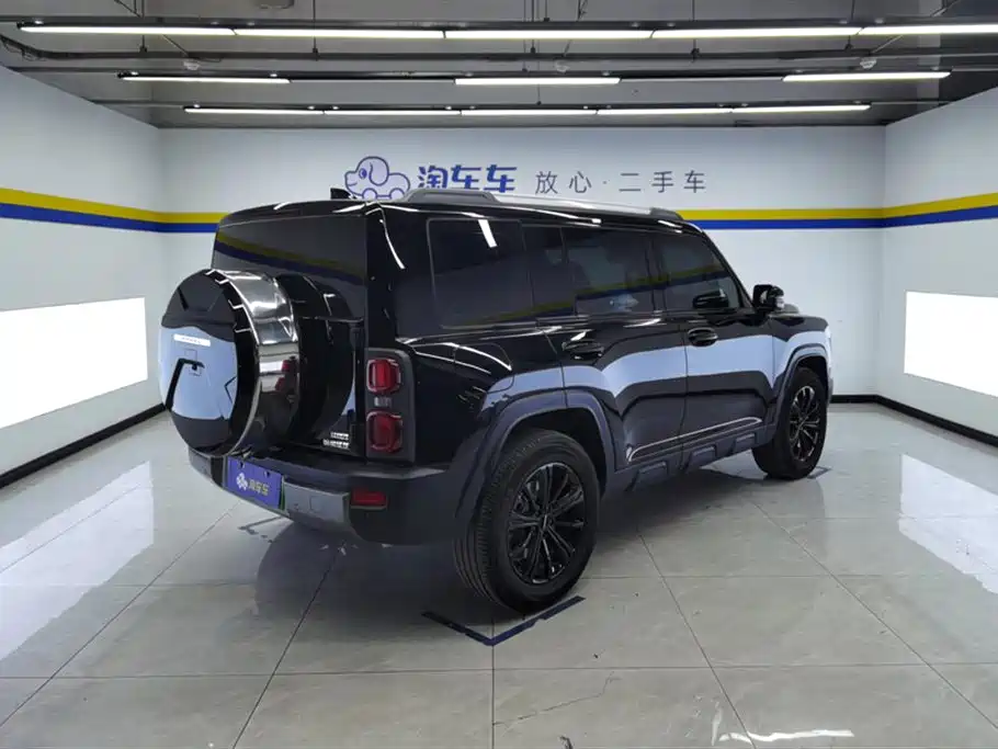 Haval Meng Long NEV 2024 Hi4 102 Pro фото 3