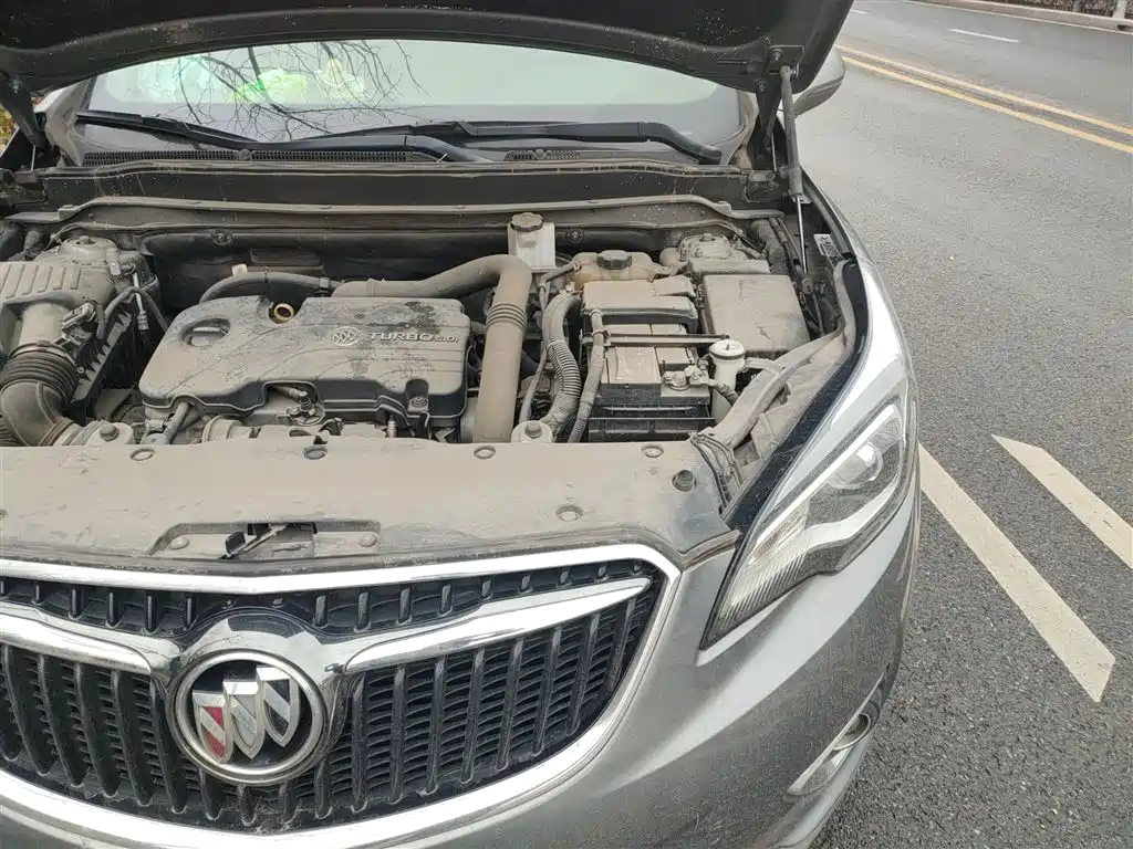 Buick Envision Plus 2018 20T 2WD Elite фото 22