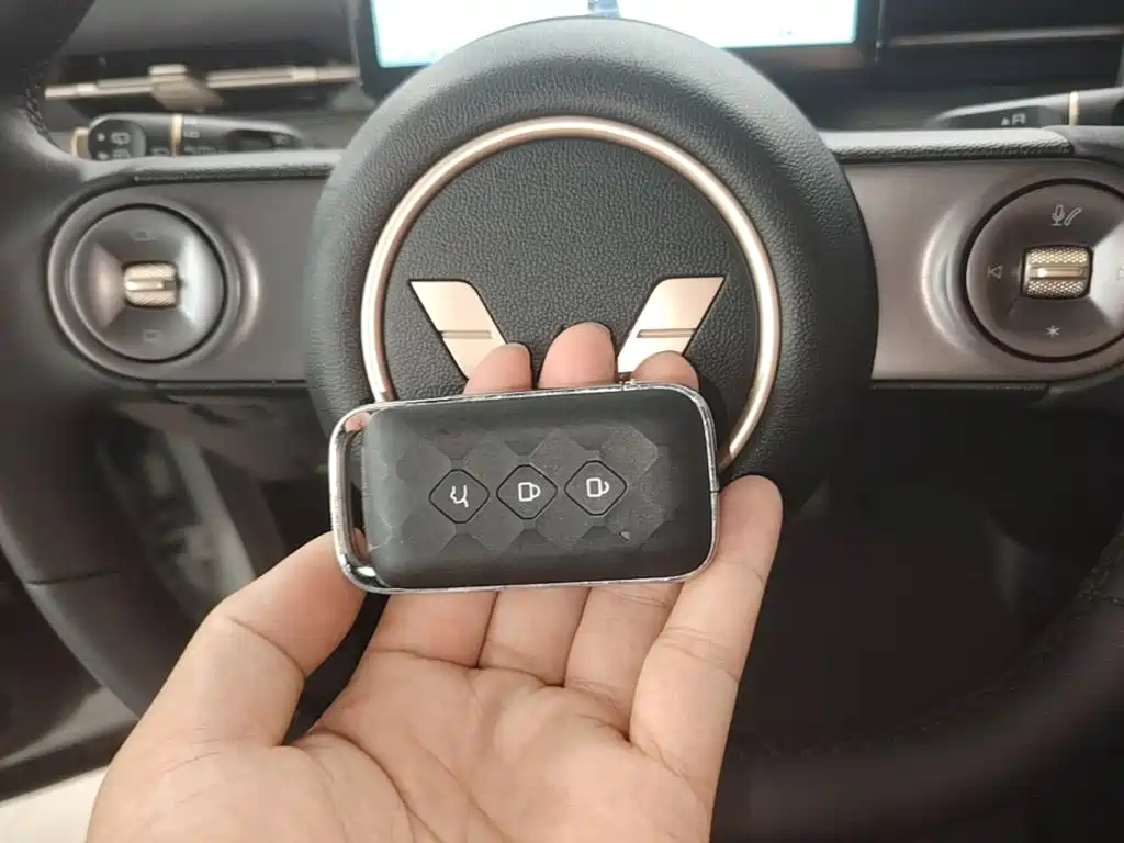 Wuling Motors Wuling Xingguang S 2024 2024 510km Flagship Model