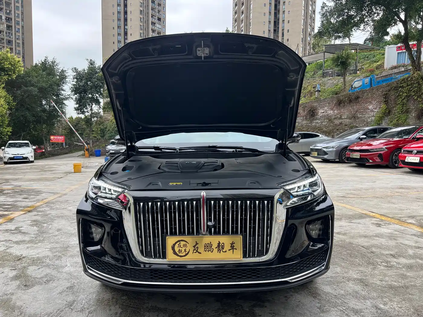 Hongqi HS5 2022 Facelift 2.0T Smart Flag Enjoyment Edition фото 4