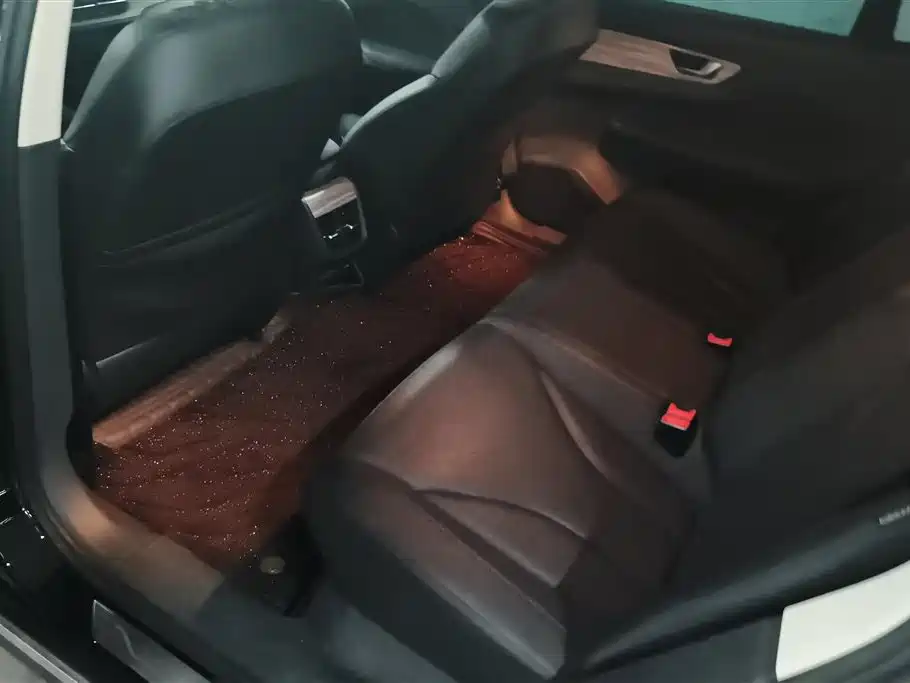 Hongqi E-QM5 2023 620km PLUS фото 11