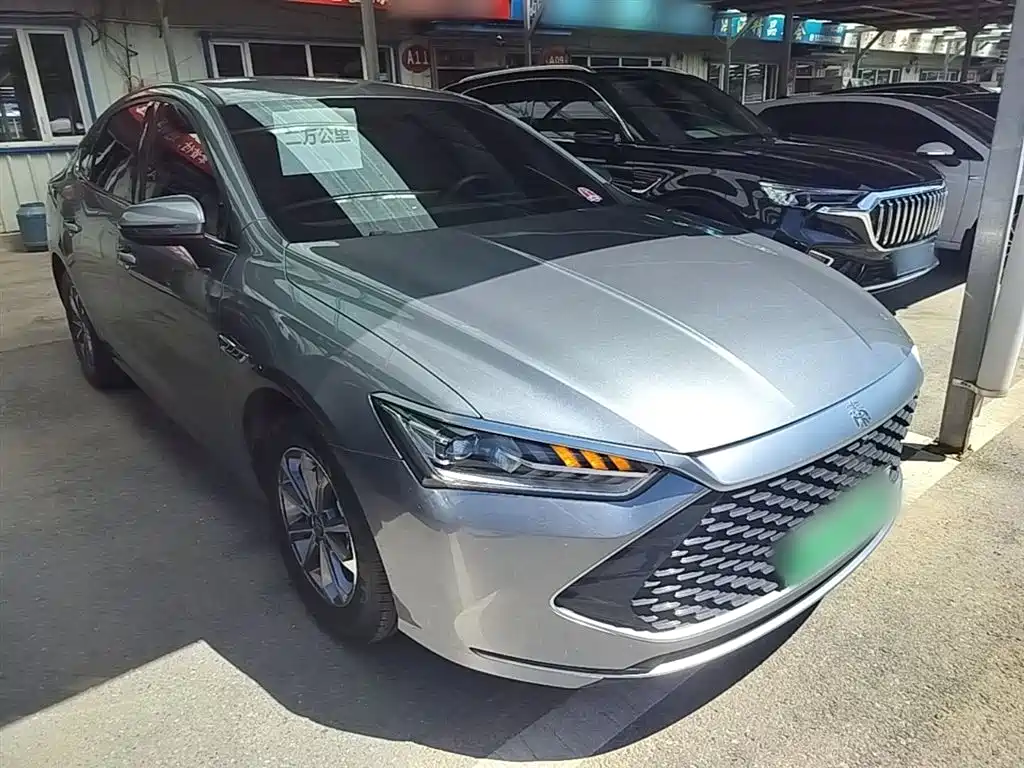 BYD Qin PLUS 2024 Glory Edition DM-i 55KM Leading фото 4