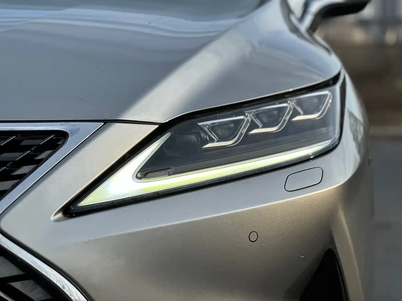 LEXUS RX