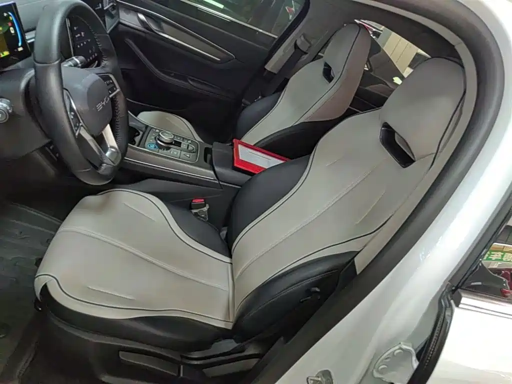 BYD Destroyer 05 2024 Glory Edition DM-i 55KM Luxury фото 15