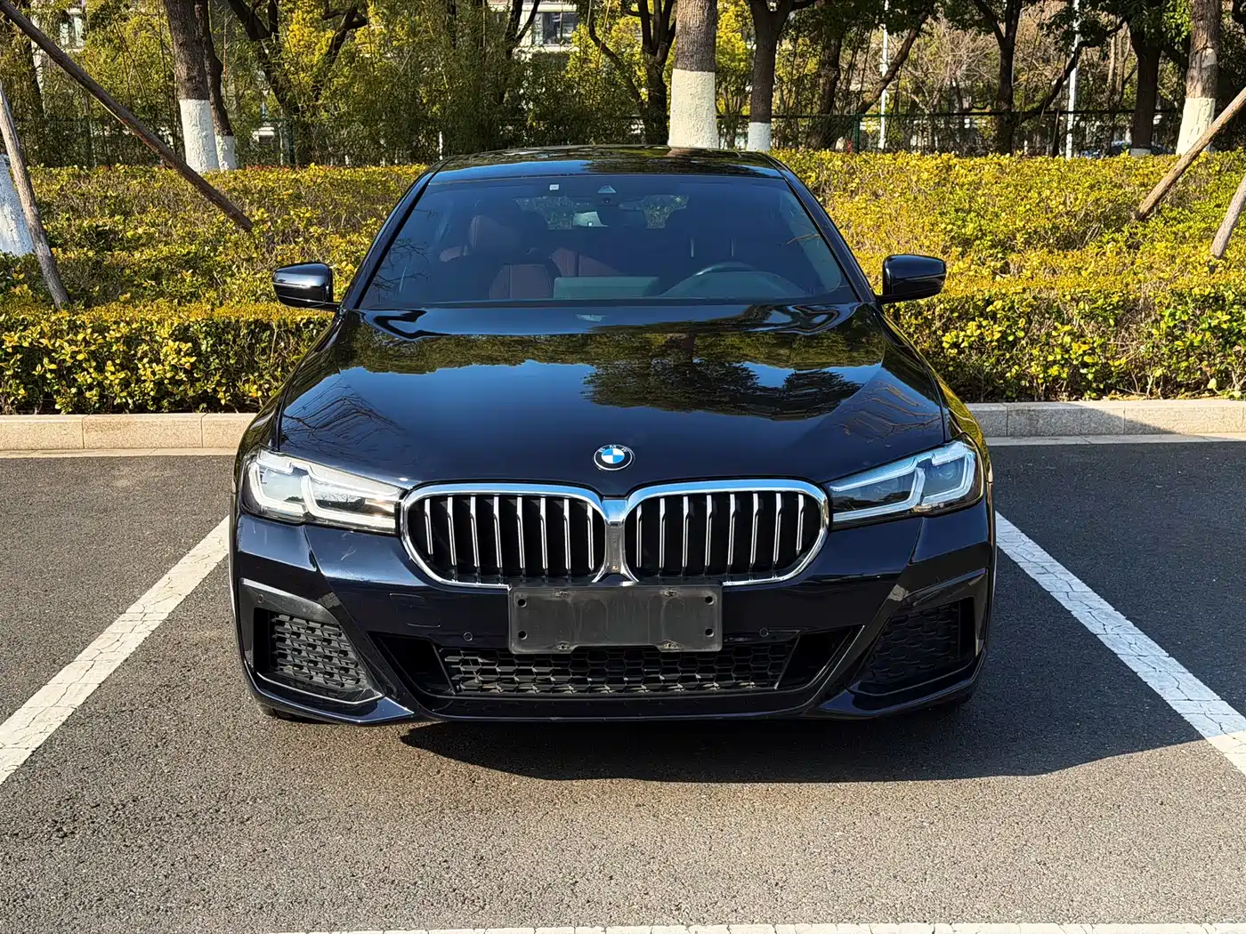 BMW 5 Series 2021 530Li Leading M Sport Package