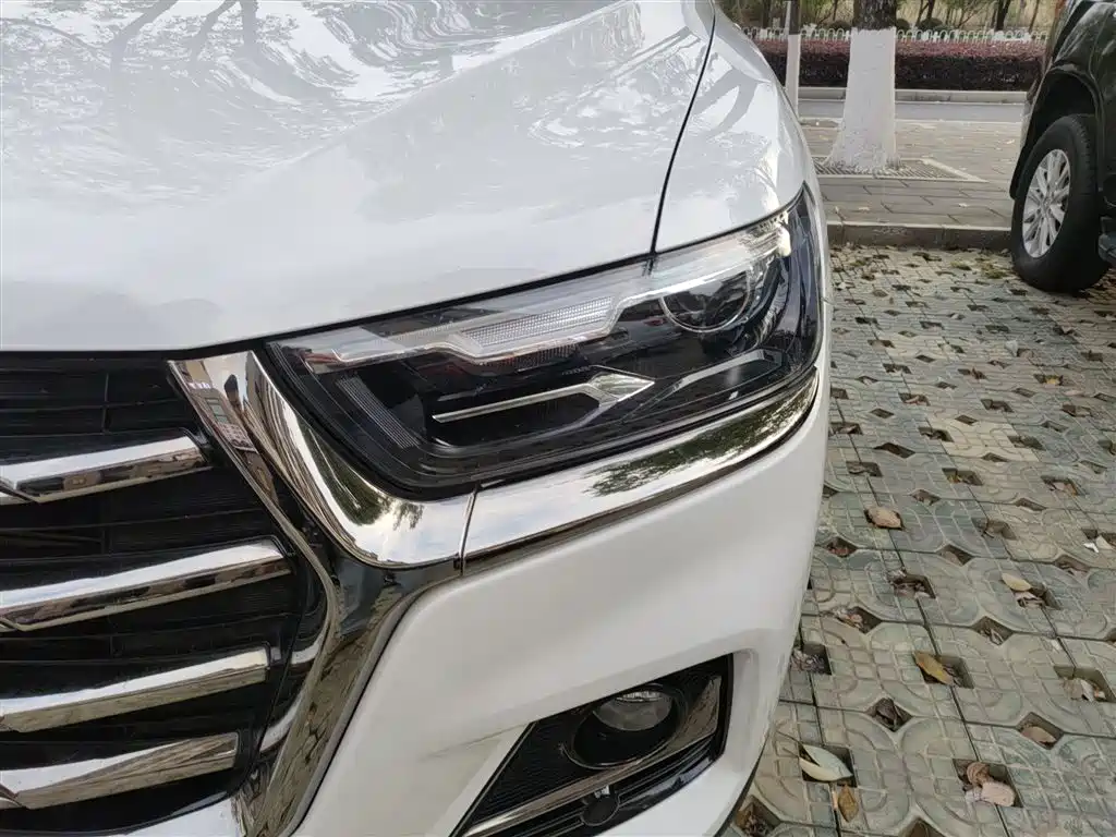 Haval H6 2023 National Trend Edition 1.5T Automatic Urban фото 18