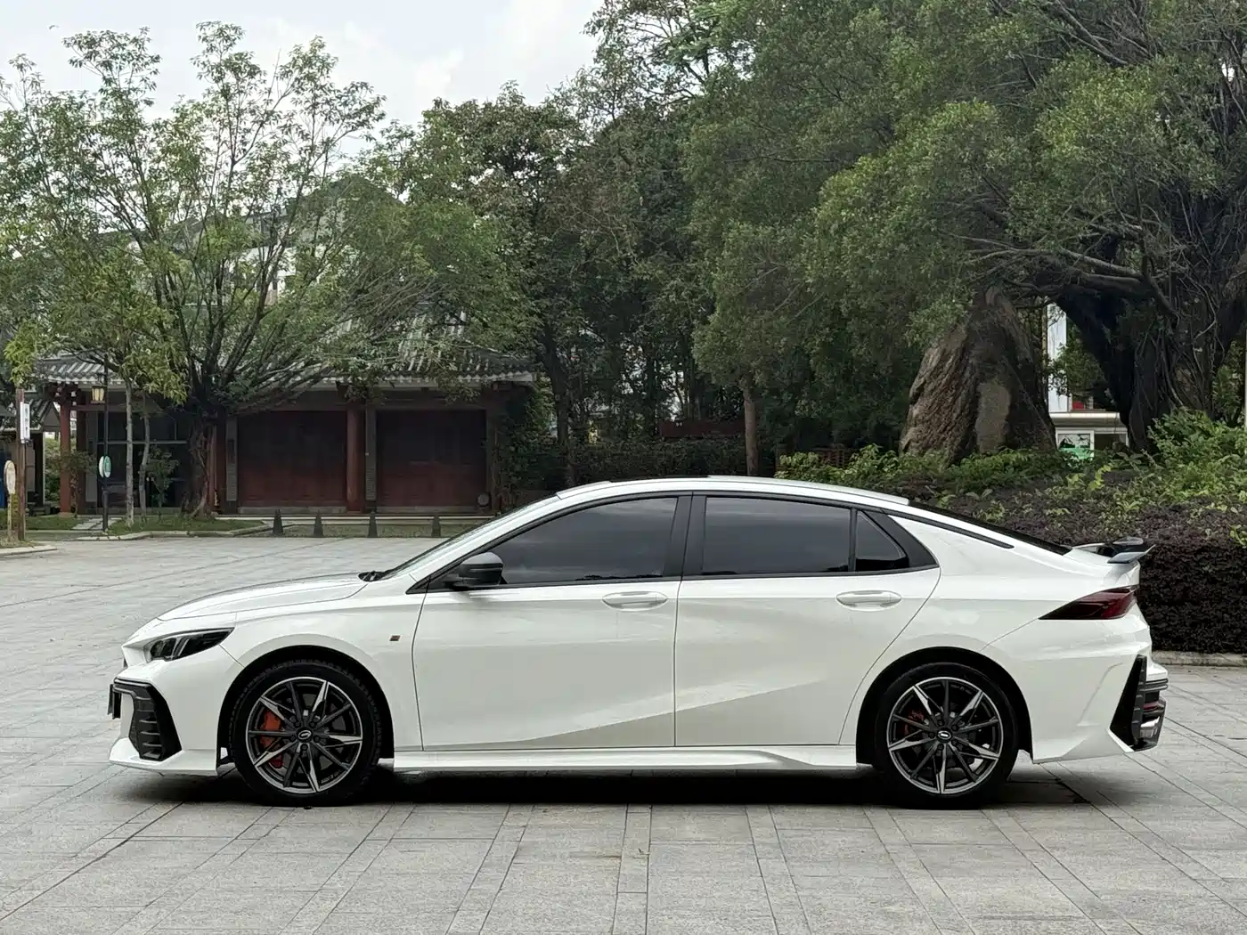 GAC TRUMPCHI SHADOW LEOPARD