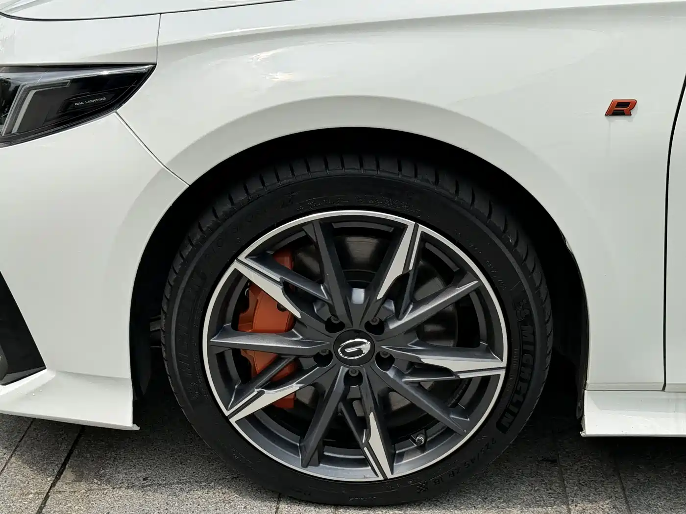 GAC TRUMPCHI SHADOW LEOPARD
