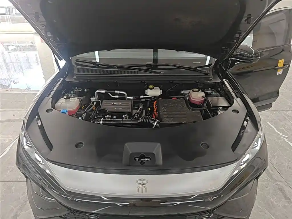 BYD Song Pro New Energy 2025 2nd Generation Smart Drive Edition DM-i 115KM Surpassing Type фото 20