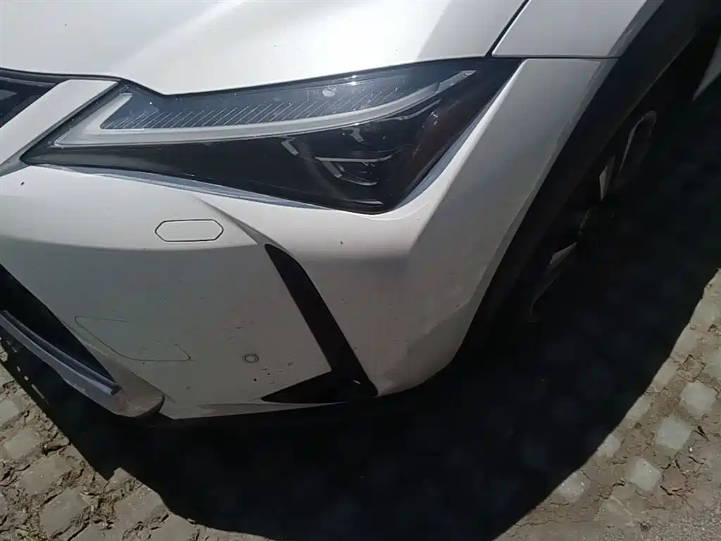 Lexus UX 2020 260h Explore Enjoy Edition фото 24