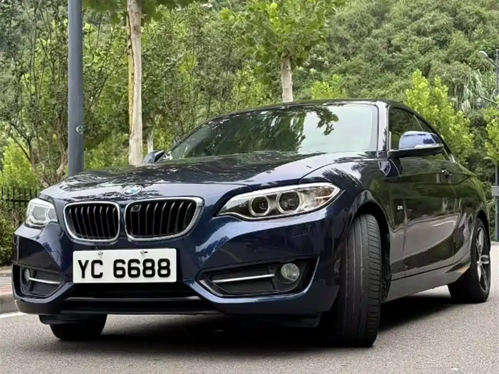BMW 2 Series (Import) 2014 220i Leading