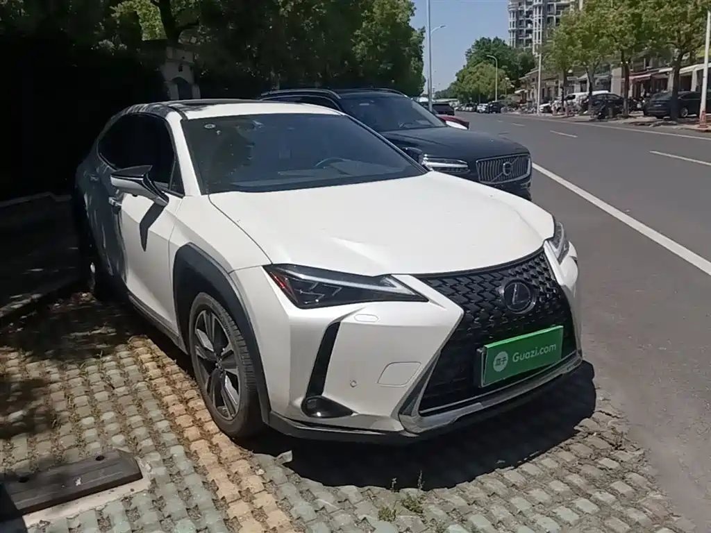 Lexus UX 2020 260h Explore Enjoy Edition фото 4