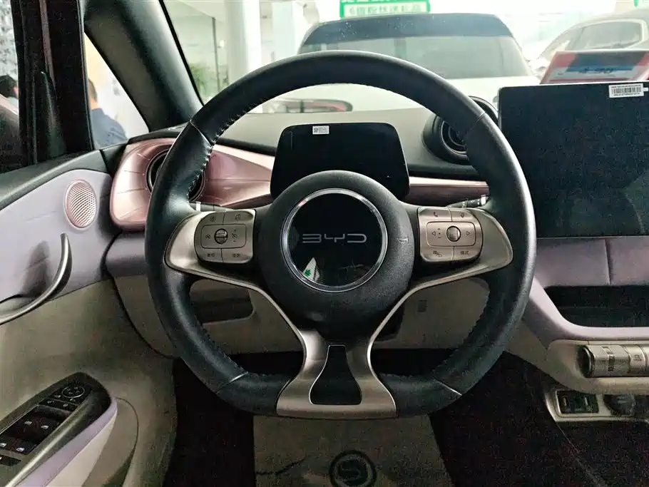 BYD Dolphin 2021 Model 405km Fashion Edition фото 15