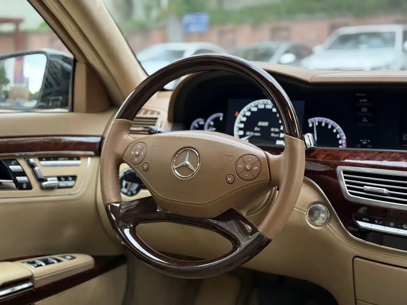 Mercedes-Benz S-Class 2010 S 600 L фото 9