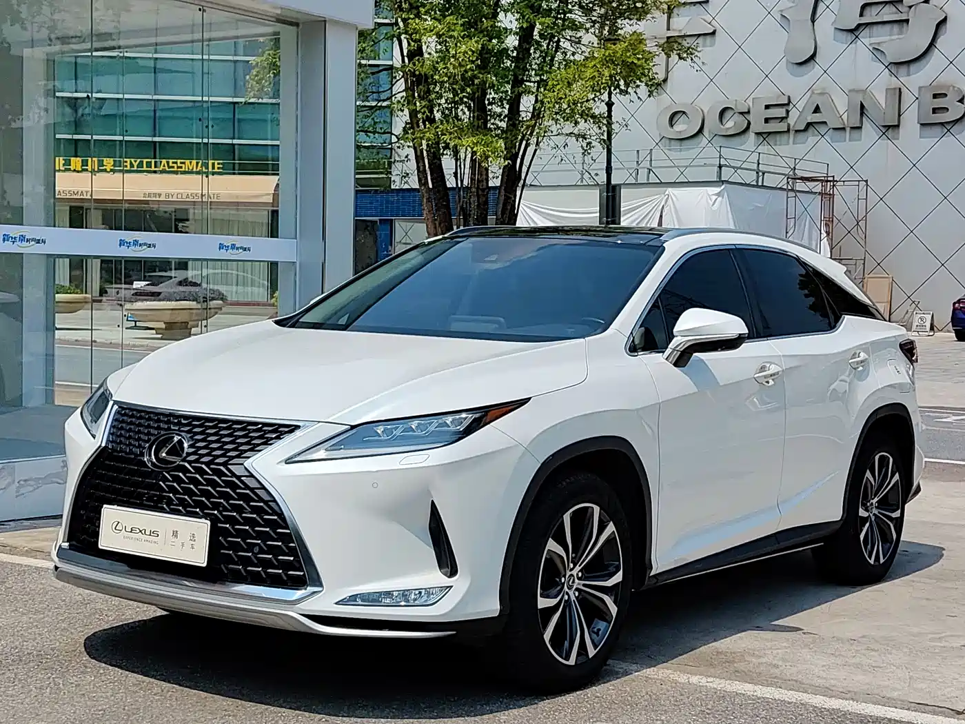 Lexus RX 2020 300 4WD Elegance Edition China VI фото 3