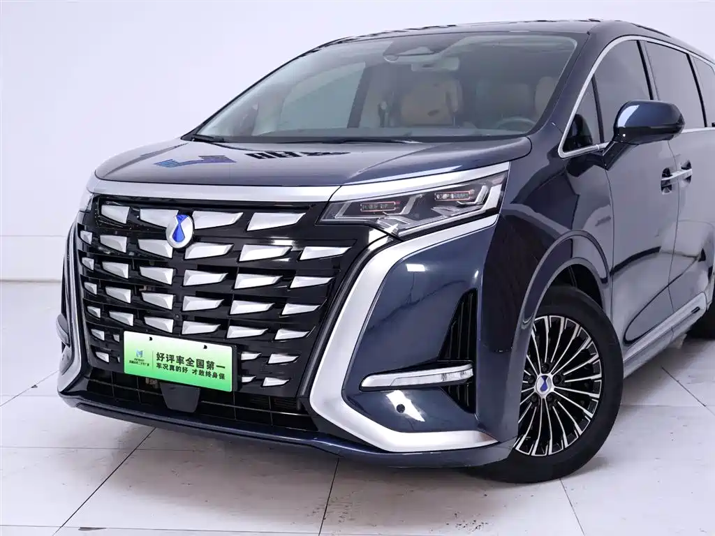Denza D9 2024 DM-i 980 AWD Prestige фото 3