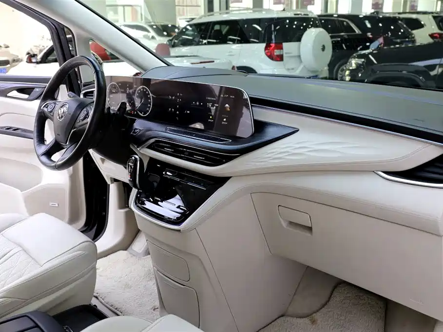 Buick GL8 2020 Avenir Six-Seat Elegance Edition фото 19