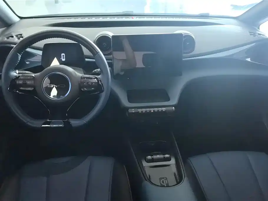 BYD Dolphin 2021 Model 405km Fashion Edition фото 12
