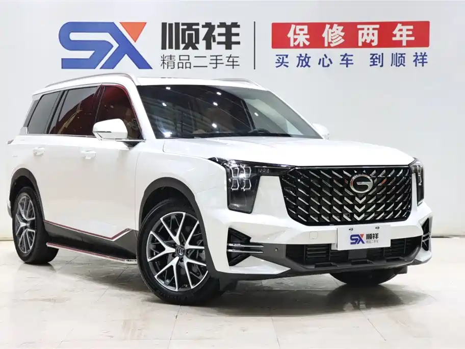 GAC Trumpchi Trumpchi GS8 2025 Pilot Series 2.0TGDI 2WD Luxury Edition 5-seater фото 3