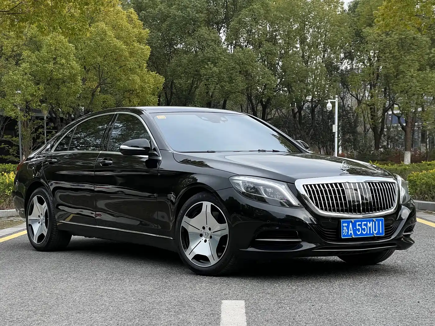 Mercedes-Benz S-Class 2014 S 500 L фото 3