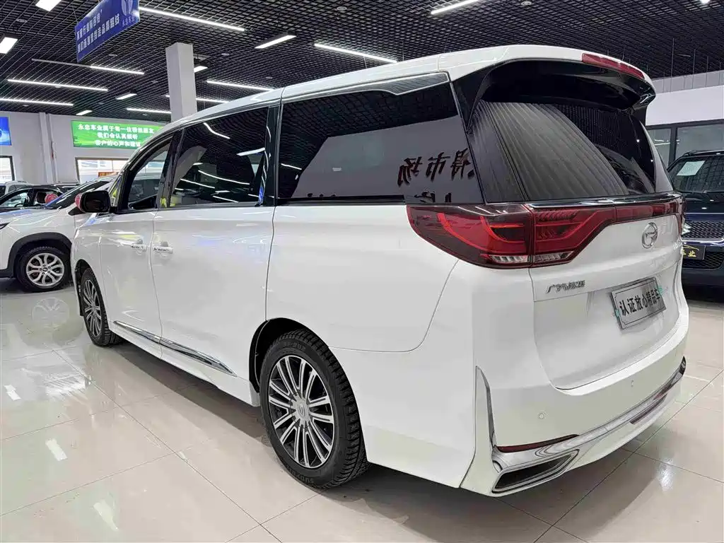 GAC Trumpchi Trumpchi M8 2021 Leading Show Series 390T Prestige Edition фото 4