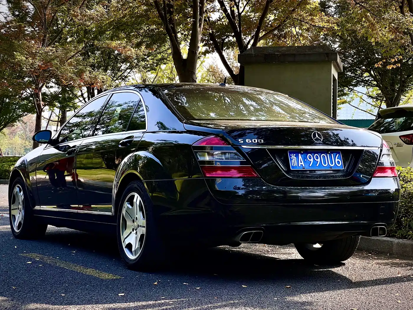 Mercedes-Benz S-Class 2008 Model S 600 L фото 2