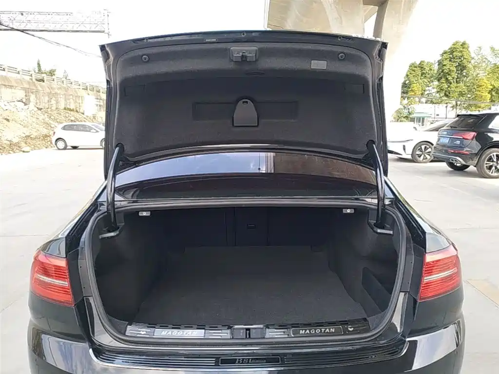 Volkswagen Magotan 2019 330TSI DSG Luxury China V фото 19