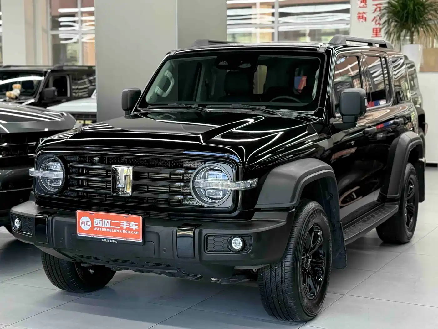 Tank 300 2023 Off-Road Edition 2.0T Conqueror