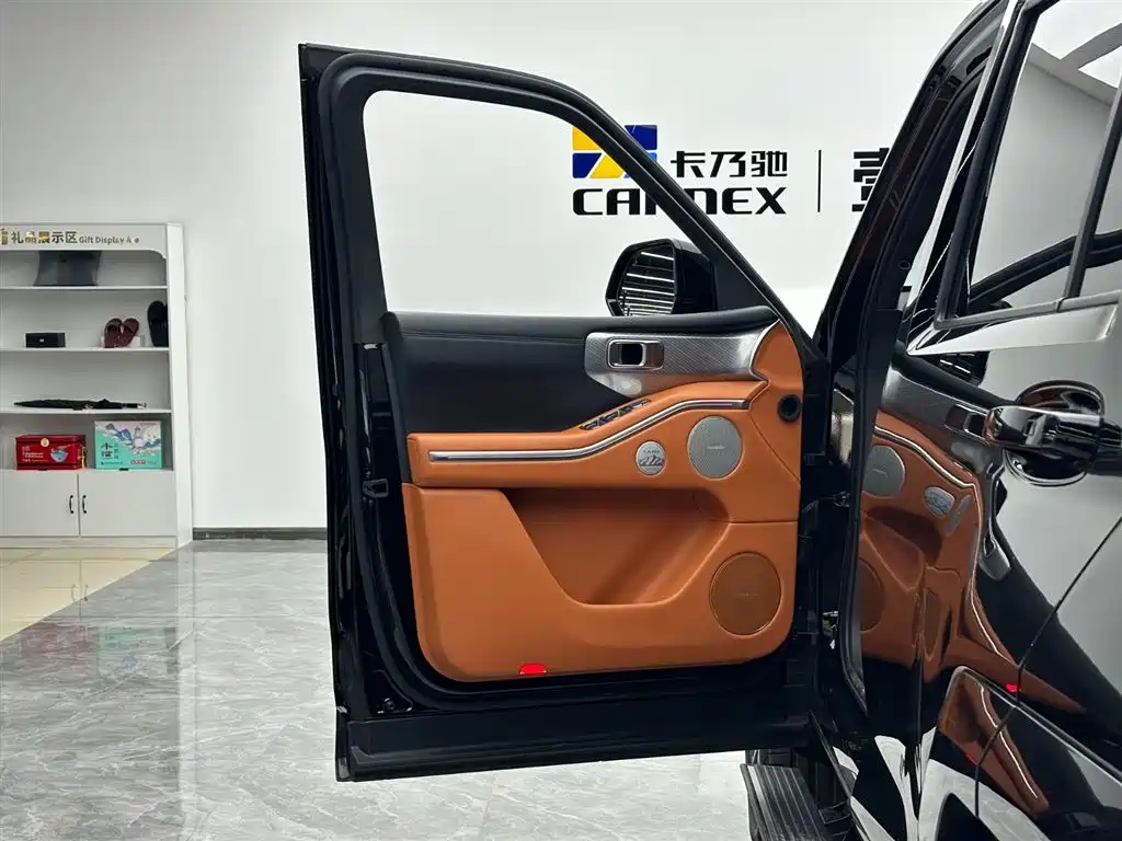 Tank 700 New Energy 2024 Hi4-T Extreme Edition фото 5