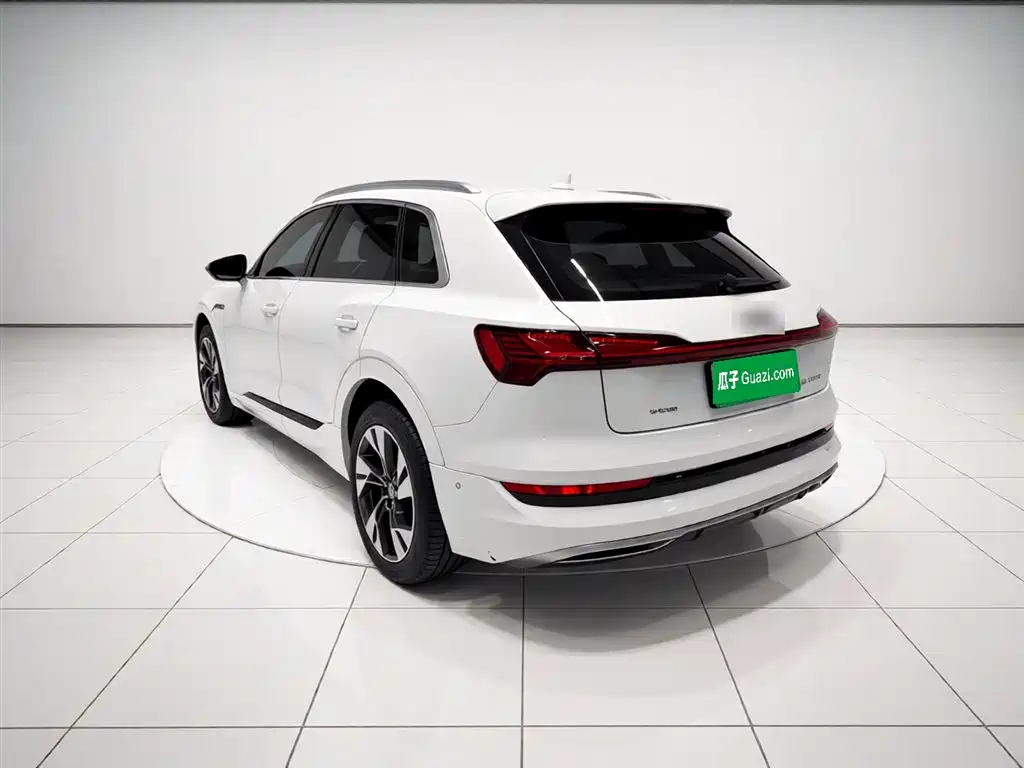 Audi e-tron (Import) 2019 55 quattro Technology фото 4