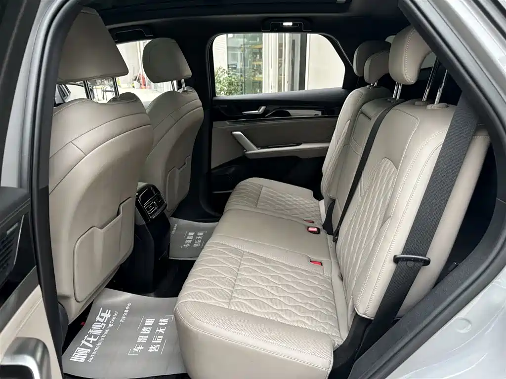 BYD Tang New Energy 2025 DM-i 115KM Prestige Type фото 12
