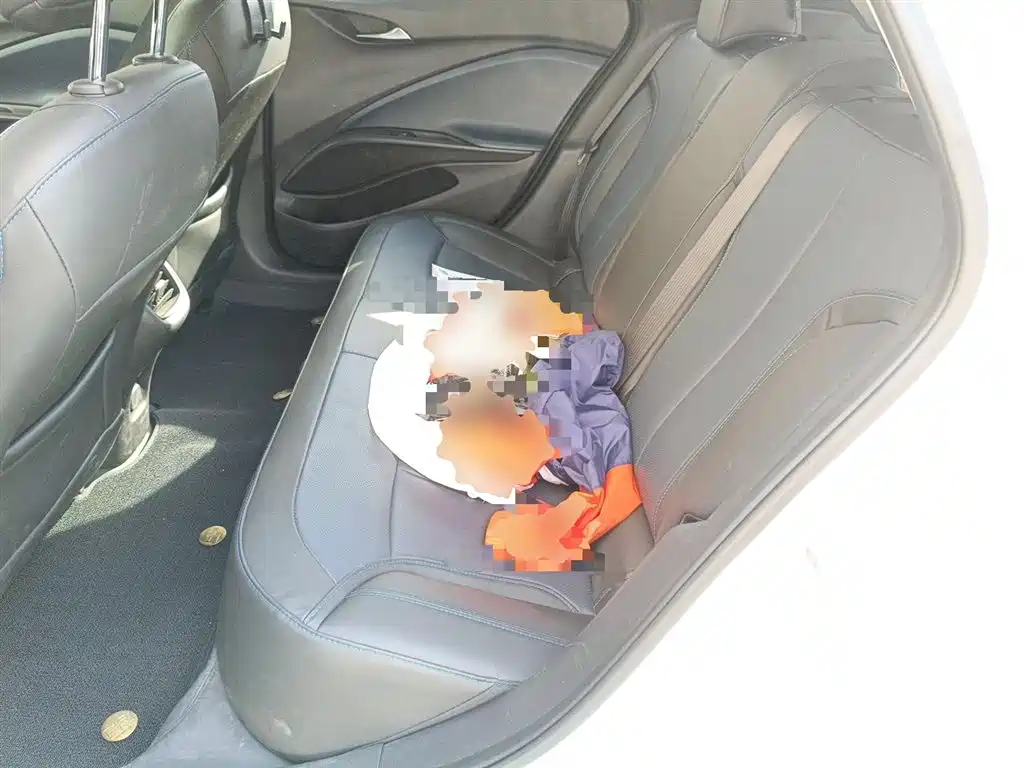 Buick Velite 6 2024 450km Travel Edition фото 18