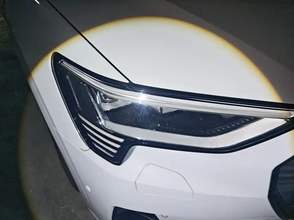 Audi e-tron (Import) 2019 55 quattro Technology фото 7
